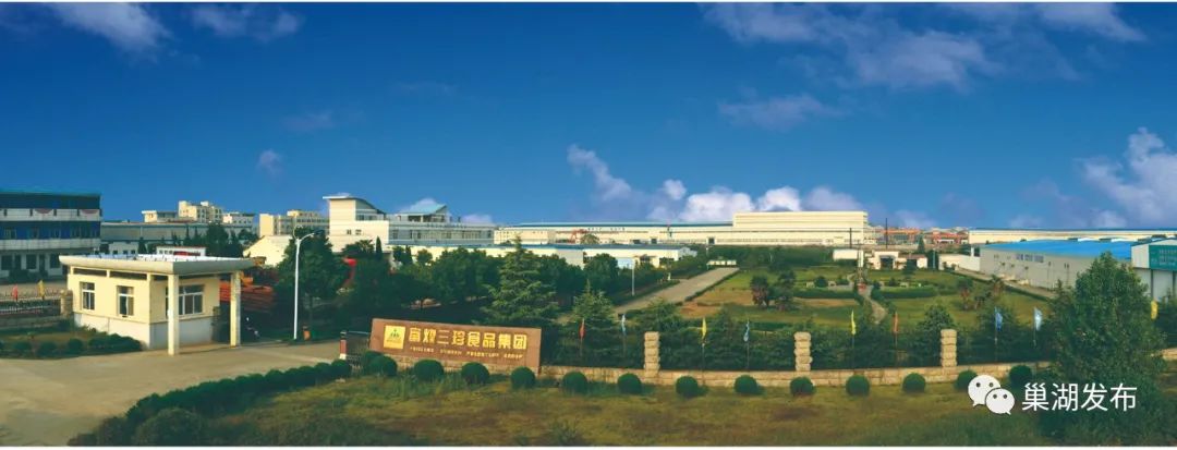 上榜！巢湖两家单位获省级表彰