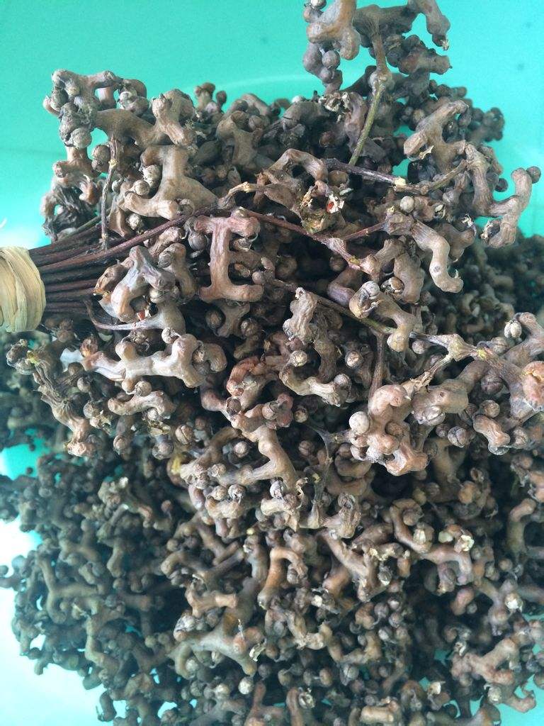 丑陋野果,那些罕见但非常好吃的果子