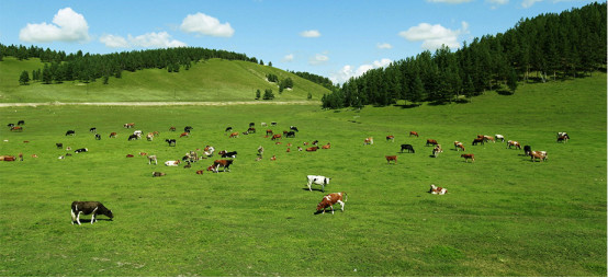 浼樺辜姣嶅┐2019,浼樺辜姣嶅┐
