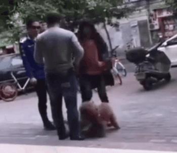 狗狗交配时强行将它们分开?脑子是个好东西,希望你能有!