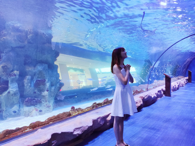 不一样的角度看迪拜,10个冷知识带你认识迪拜