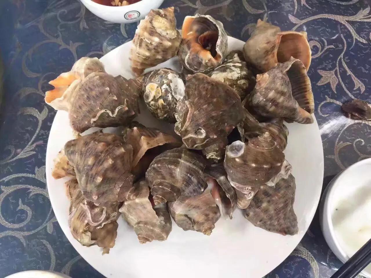 山东长岛自驾游,山东省长岛自驾游攻略