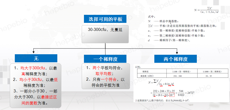 乳酸菌的检验程序和操作要点,乳酸菌检验