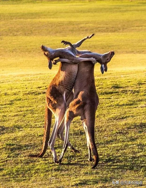 今天2.1，2月第1天，谁编的，太好笑了，给群里乐一乐~