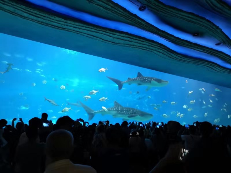 去珠海长隆海洋王国游玩攻略路线,最新珠海长隆海洋王国一日游攻略