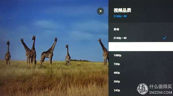 学习生活两不误--电视端那些必备的APP让我们的生活更美好