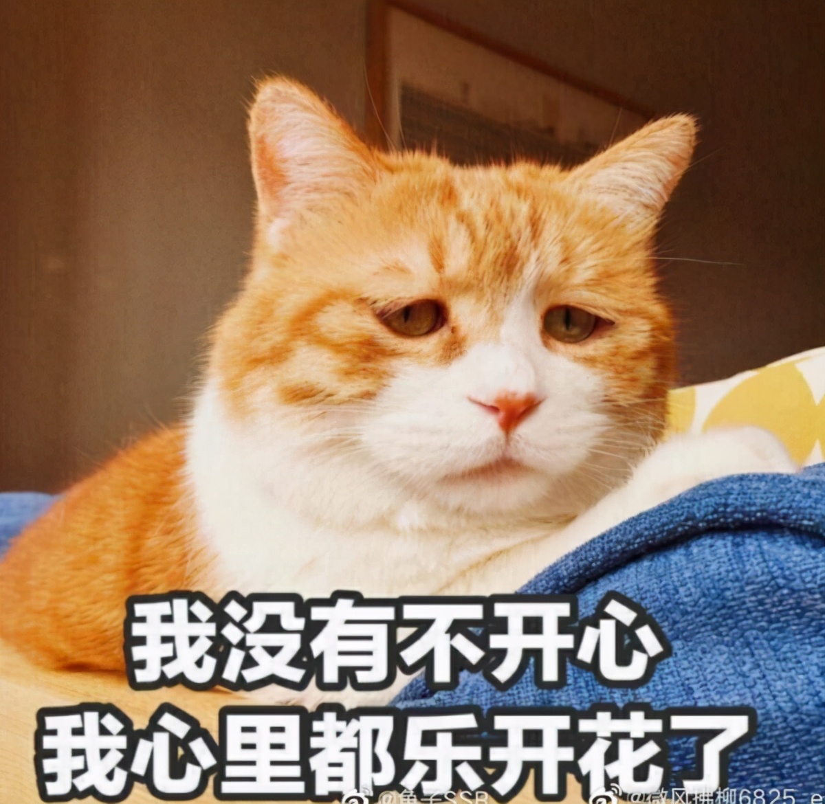 天刀手游骗术,手游天刀玩不明白