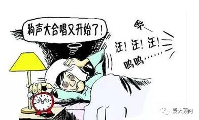 狗狗扰民被投诉怎么办？别慌！赶快学习这几种方法！