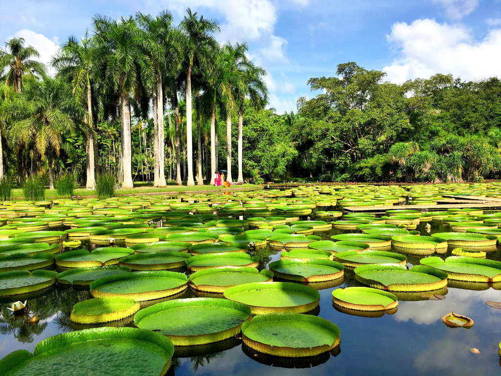 云南大理丽江西双版纳十日游攻略,云南西双版纳深度攻略