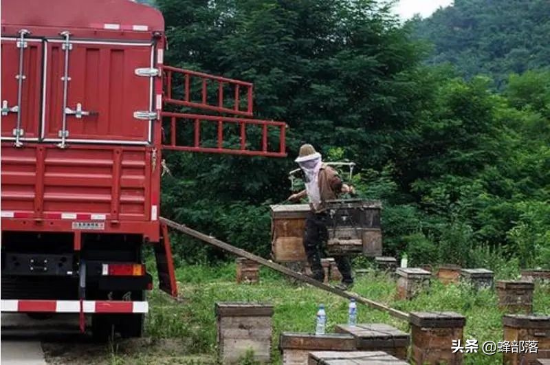 涔℃潙鎸叴铚滆渹鍙戝睍,铚滆渹鍔╁姏涔℃潙鎸叴