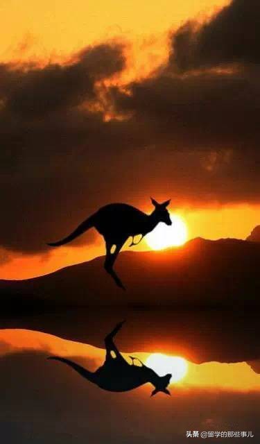 澳大利亚有哪些旅游胜地,澳大利亚有什么好玩的免费景点