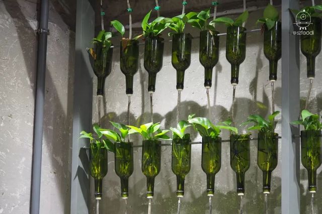 深圳2020年美食推荐,深圳十大必吃美食排名