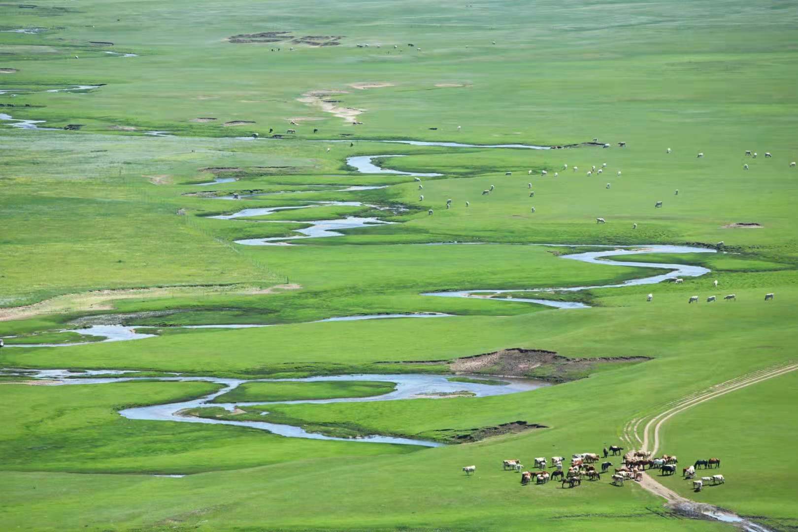 锡林郭勒大草原3天旅游攻略,锡林郭勒大草原五日游推荐