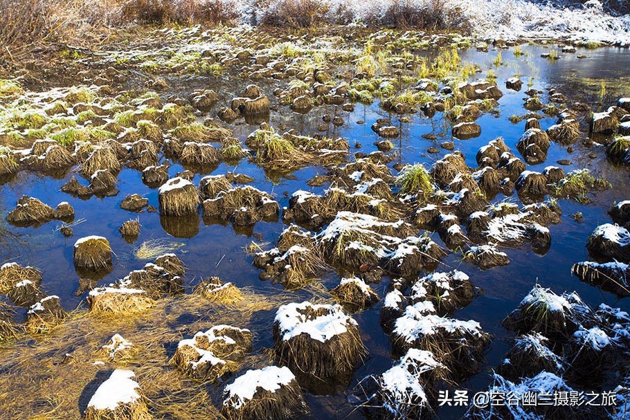 在莫尔道嘎,我遇见了最美的秋雪