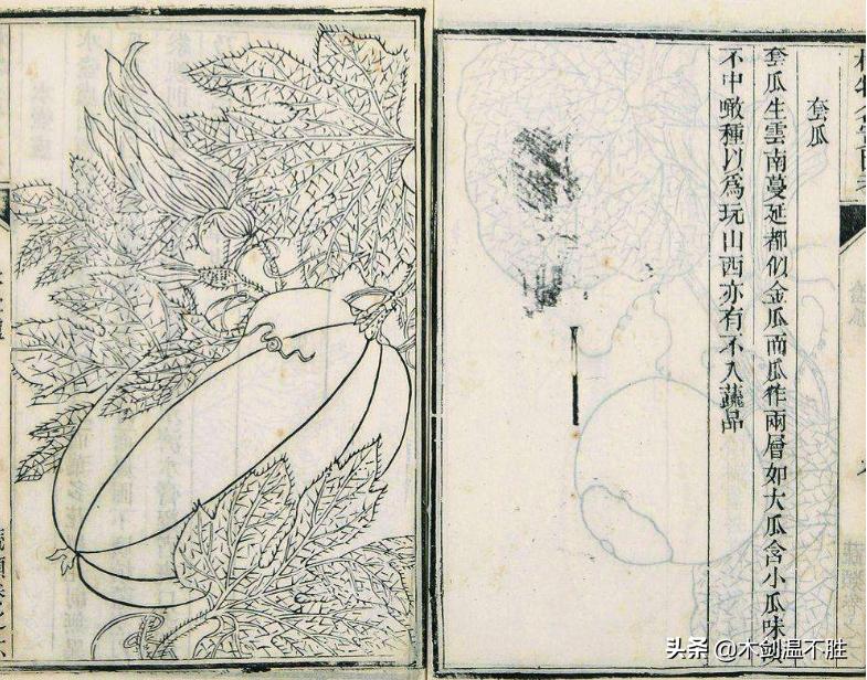 论古代状元郎的正确打开方式——个性张扬，坚持自我，敢爱敢恨