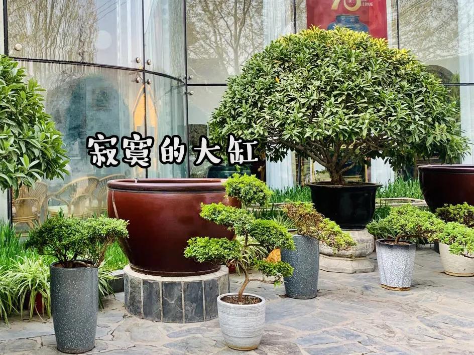 大家期盼的真实事件,掉缸事件怎么处理