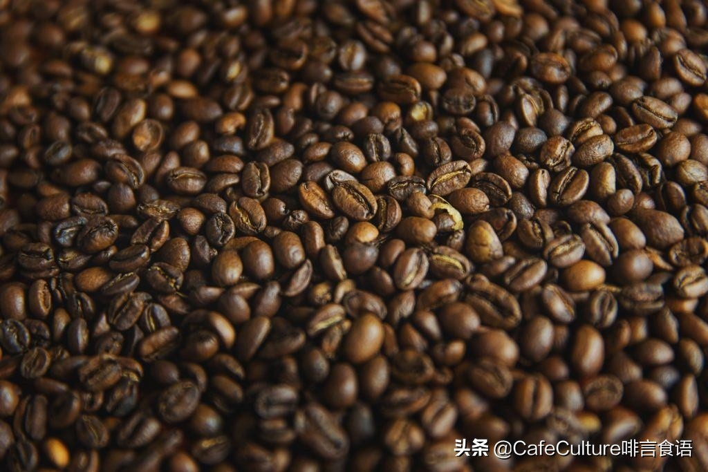 怎样才能煮出一杯香浓的奶茶,怎样煮出一杯香浓的咖啡