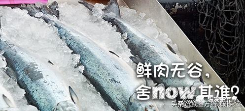 猫粮now评测,进口猫粮到底怎么选