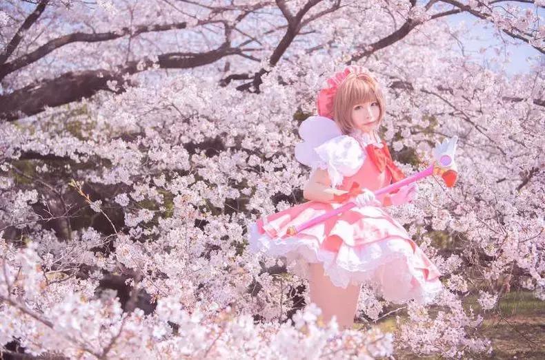 魔卡少女樱收藏卡片,魔卡少女樱收藏卡