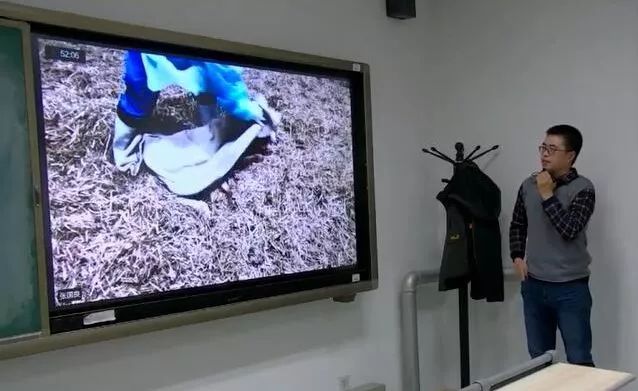 小奶牛出生全过程,牛宝宝是怎么出生的