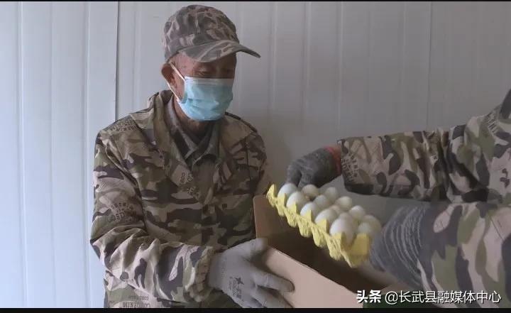 致富经|长武绿皮鸡蛋成为群众脱贫致富的“金蛋蛋”