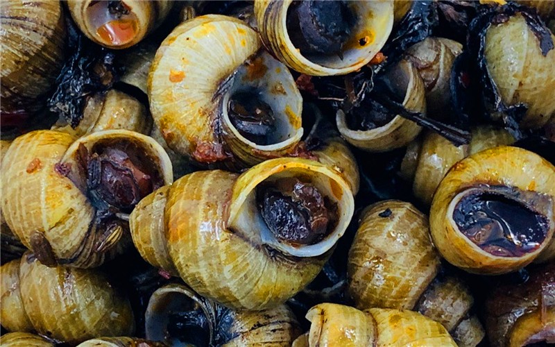 洗田螺放盐,有什么办法能让田螺吐沙吐得快些