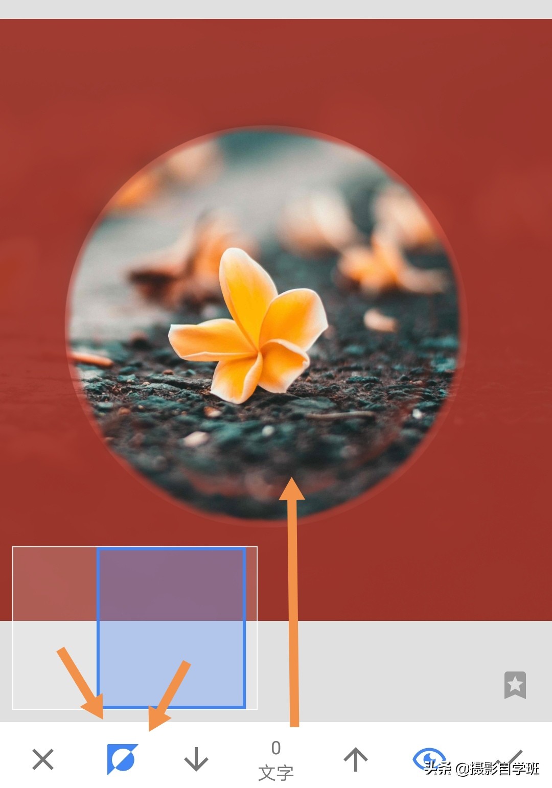 摄影拍出抽象风格照片5个诀窍,照片怎么加虚化