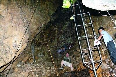 即使未曾吃过燕窝，这几个燕窝“之最”难道也不想知道？