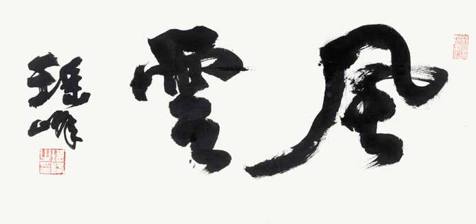 江苏冠军科技集团董事长谢海,冠军涂料谢海