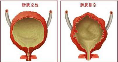 超声检查前的准备工作有哪些,做超声内镜前怎么准备