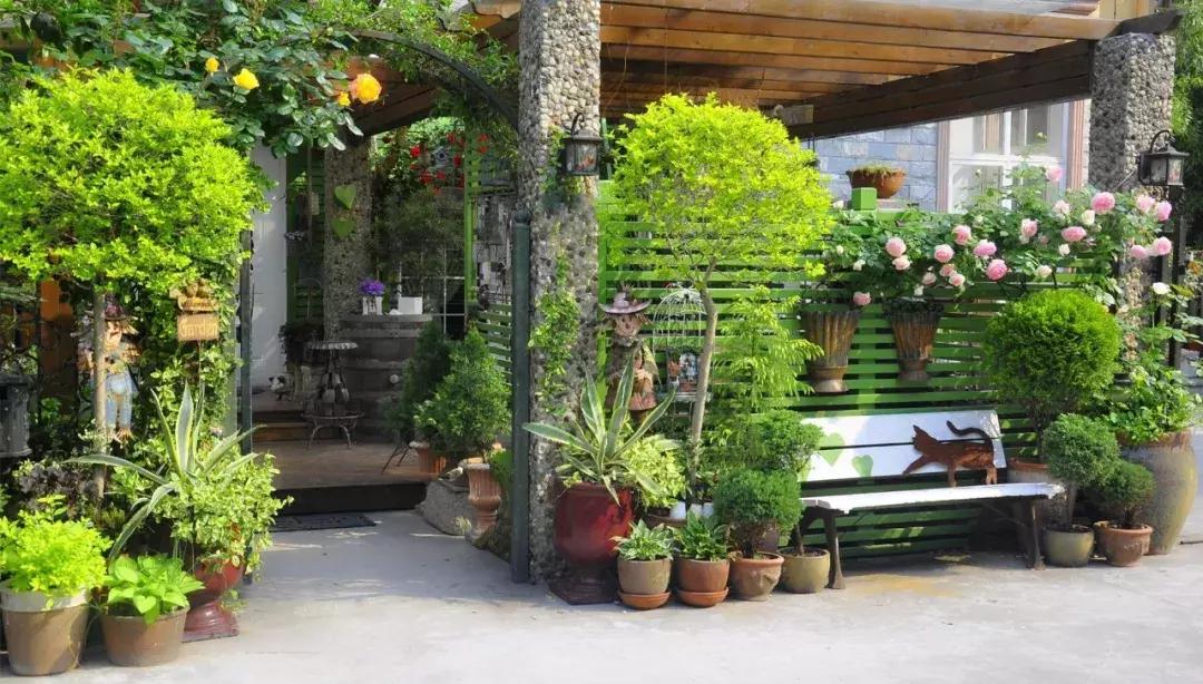 她40岁之前忙成狗，40岁之后在上海买房隐居