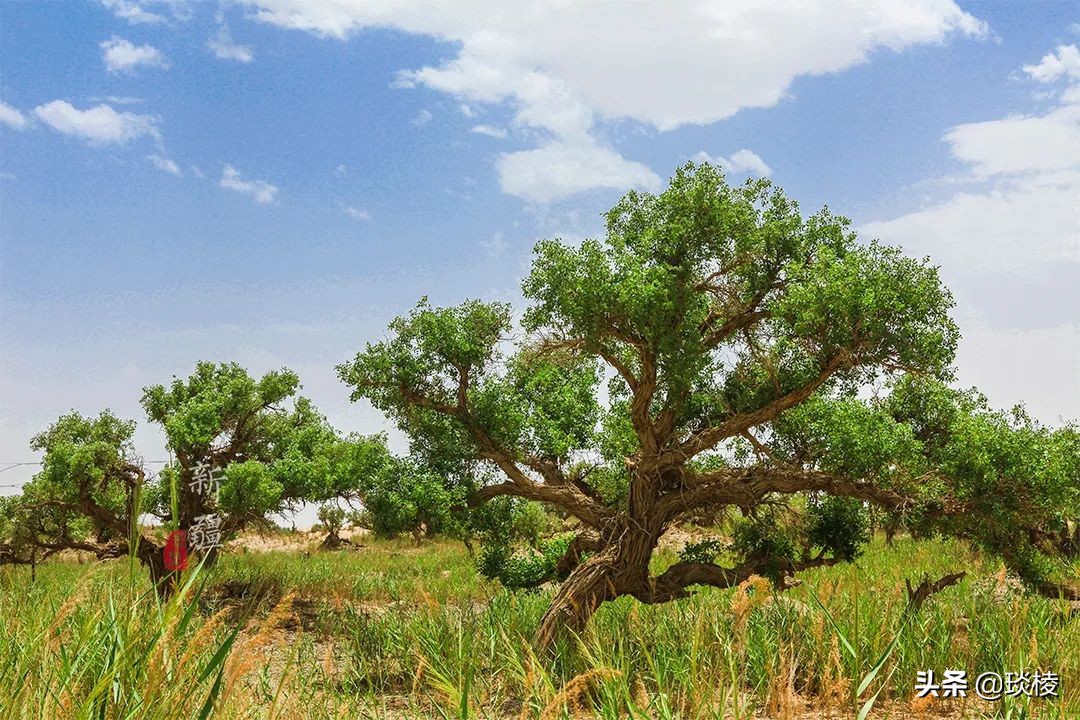 中国66号公路旅游攻略,中国自驾游66条经典线路