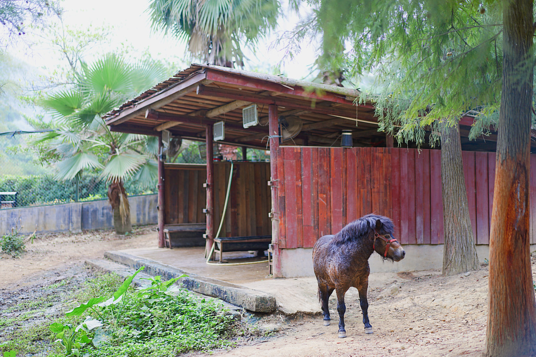 森波拉森林景区,广东清远森波拉旅游度假区