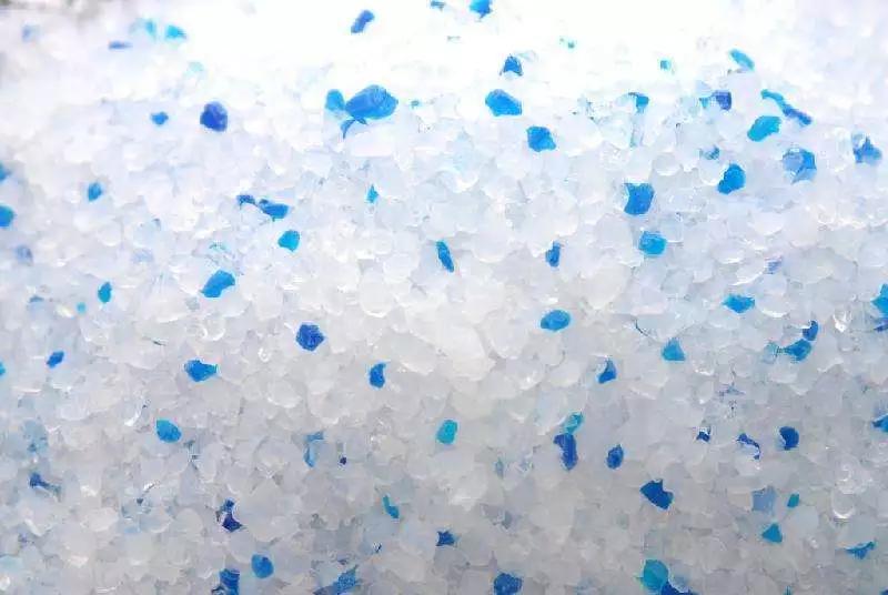 你绝对不知的「垃圾分类」技巧（宠物篇）