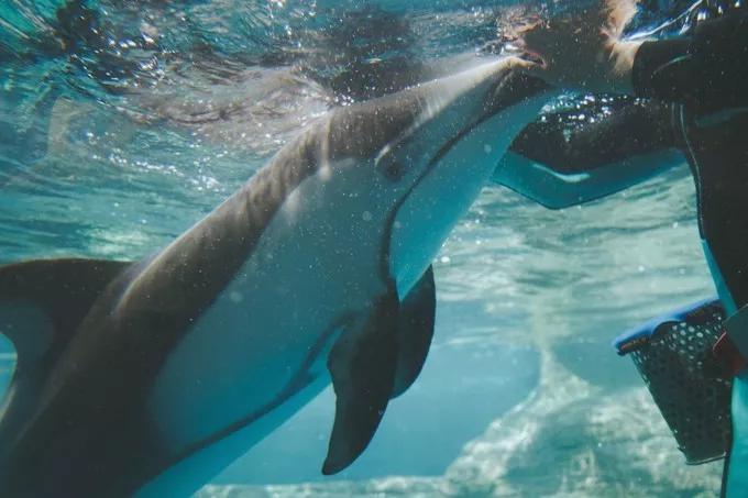 不一样的大阪三日游,瑠璃一束光,值得一来再来