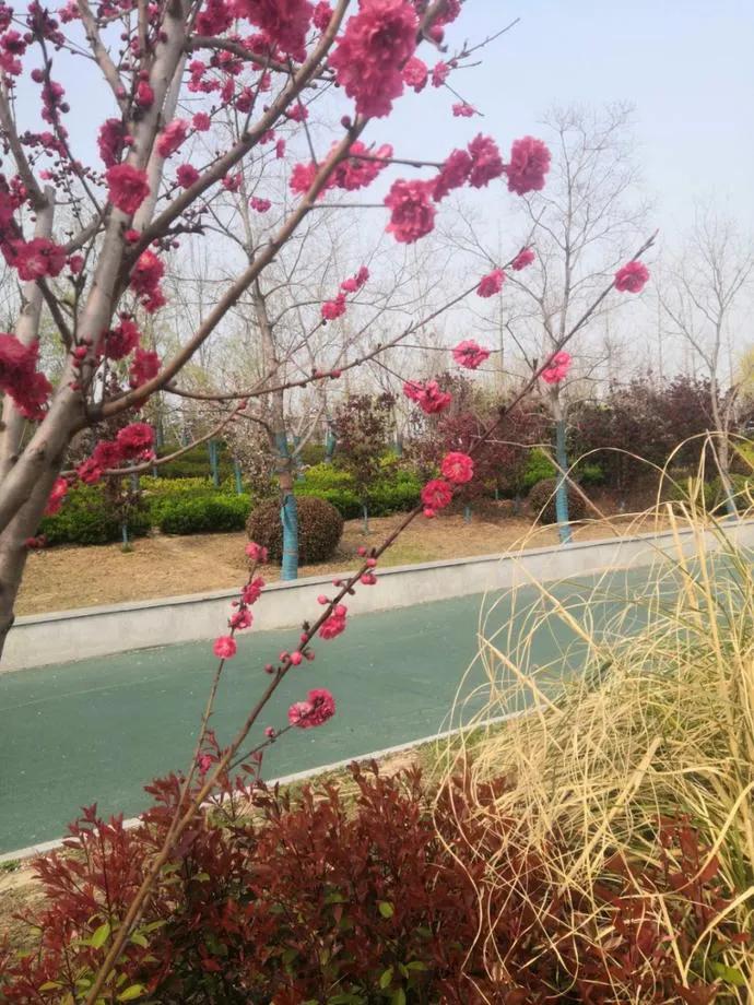 郑州市惠济区楼盘地图,惠济学位房最新楼盘