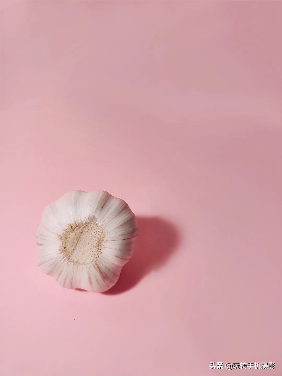 蒜头拍照,蒜头拍照怎么拍