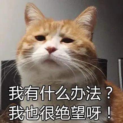 华尔街狼人·金融危机点炮者·*哈梭**狂魔·韩国岳云鹏·比尔黄