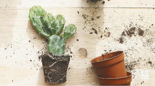 挣钱的五种途径,赚钱的方式有一万种你属于哪一种