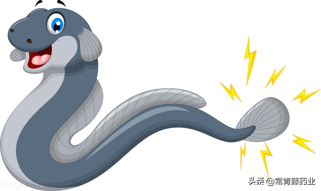 蛇咬一口就是毒！医院天天收到蛇咬伤的病人，蛇咬伤怎么处理？