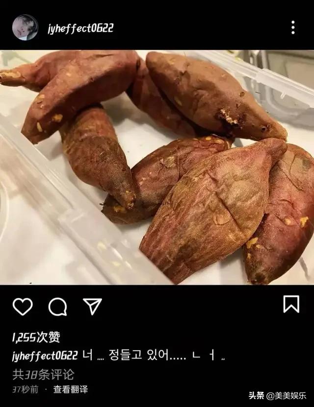 红薯夫妇十年之约倒计时微博,2010韩流演唱会红薯夫妇