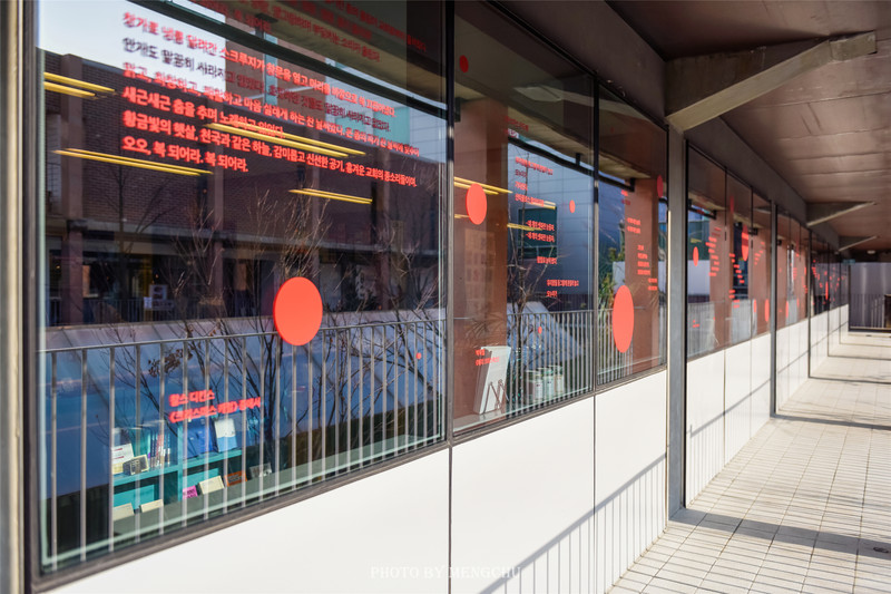 首尔圣水洞oliveyoung,韩国首尔广场打卡景点