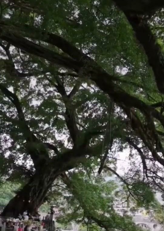 漳州南靖云水谣旅游攻略几公里,福建漳州南靖云水谣之旅