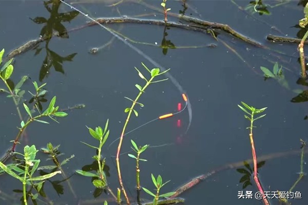 早冬钓鱼用什么饵最好,冬天钓鱼找底的简单方法