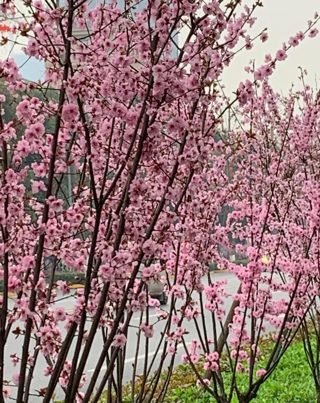 干掉错别字，只需要三步，贵在坚持