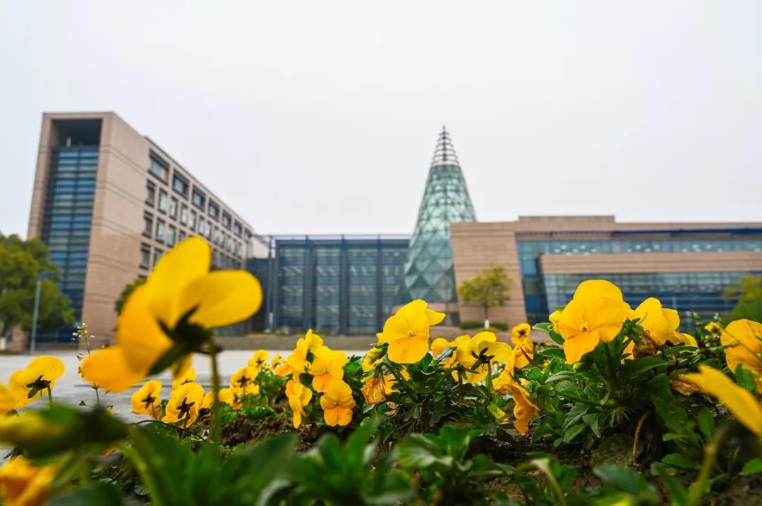 杭州美职学校风景,杭州美丽学校评选