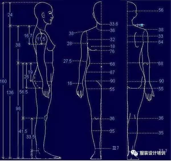 女装结构制图与打版图,服装尺寸的计算方法打版
