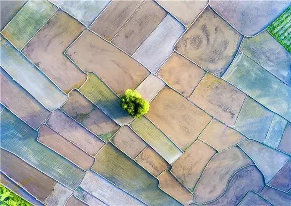 恩施，凭什么持续美哭全国，惊艳世界？