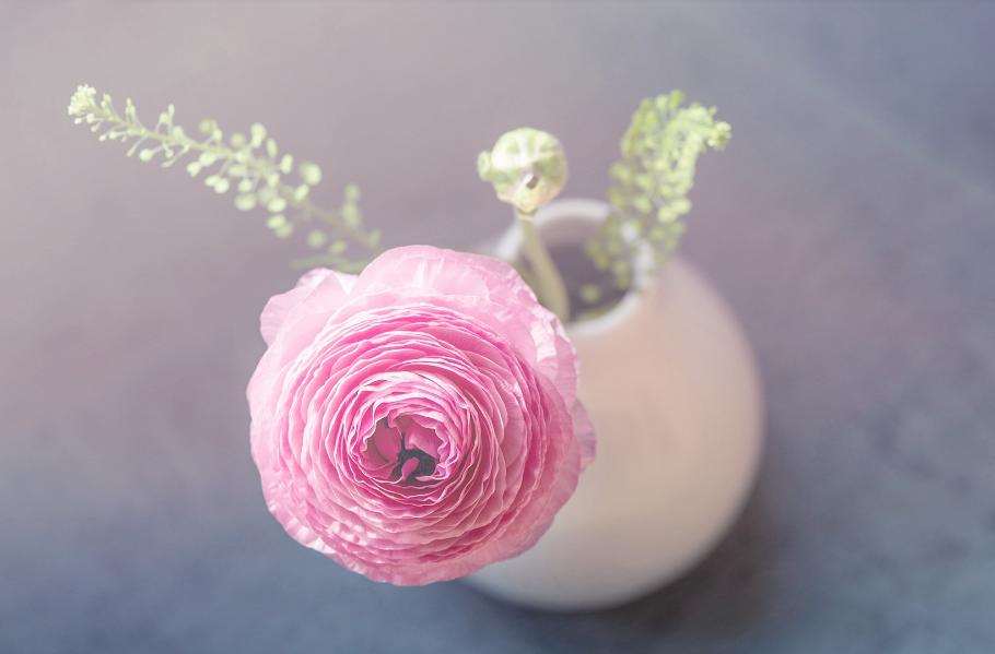 处女座最易被掌握的星座,处女座是最strong的星座