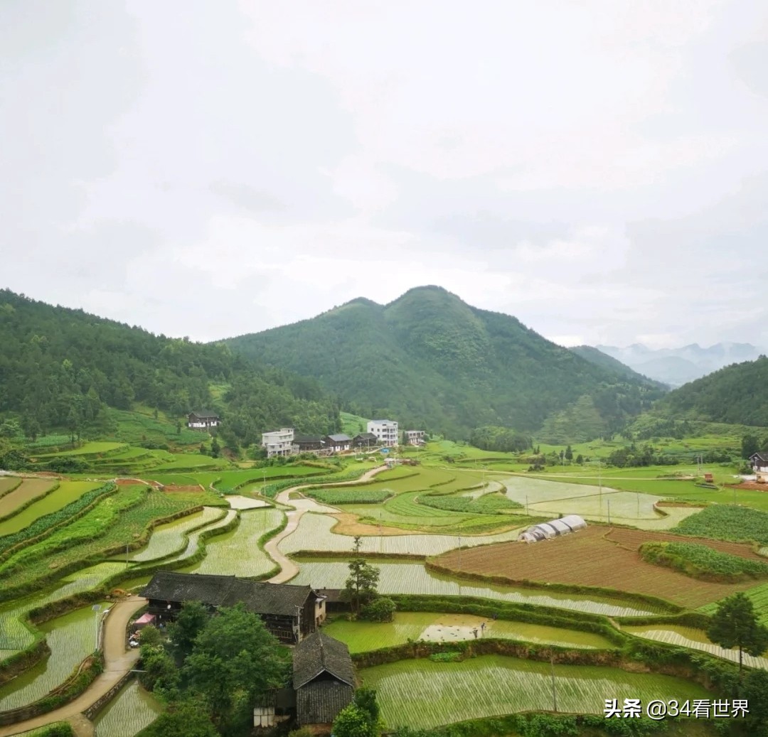 去荔波小七孔后去哪里吃东西,荔波小七孔景区游玩吃什么